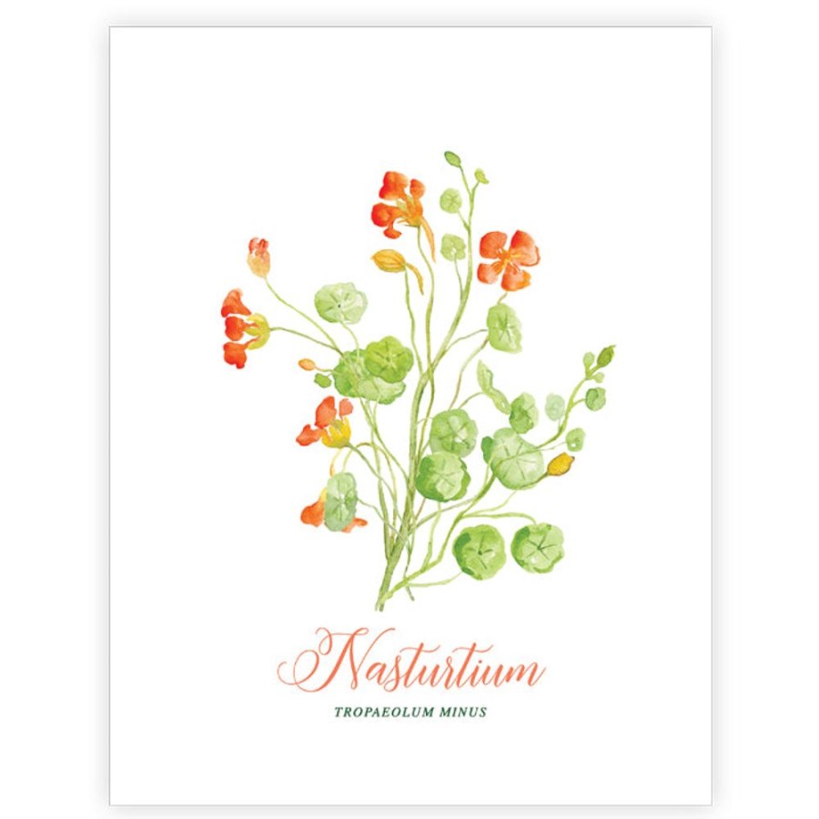 Home & Entertaining Rosanne Beck | Nasturtium Art Print